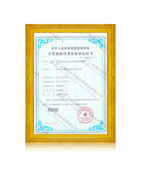 龙达网络科技信息自动检测服务软件V1.0